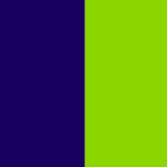 Navy / Lime