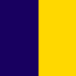 Navy / Yellow